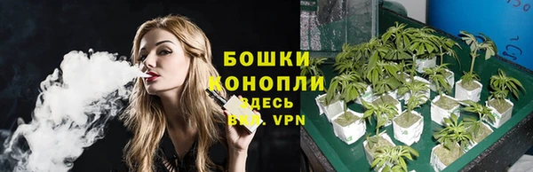 Альфа ПВП Вяземский